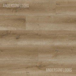 Sono Eclipse - Canim Sono Eclipse - Canim